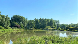 
                                                                                        Vente
                                                                                         HUTTE DE CHASSE PIGEONS SOMME