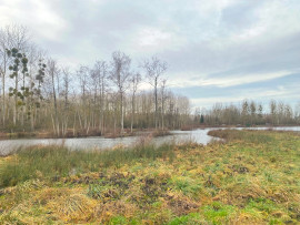 
                                                                                        Vente
                                                                                         Hutte de chasse dans l'Aisne