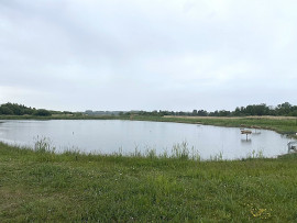 Vente
Hutte de chasse dans le marais de Merlimont
