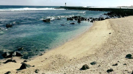 
                                                                                        Vente
                                                                                         Ile de la Réunion. Parcelle à Bâtir