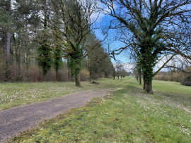 
                                                                                        Vente
                                                                                         INDRE ET LOIRE DOMAINE D'EXCEPTION 46 HA