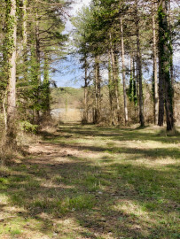 
                                                                                        Vente
                                                                                         INDRE ET LOIRE DOMAINE D'EXCEPTION 46 HA
