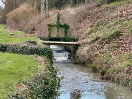 
                                                                                        Vente
                                                                                         INDRE ET LOIRE DOMAINE D'EXCEPTION 46 HA