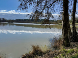 
                                                                                        Vente
                                                                                         INDRE ET LOIRE DOMAINE D'EXCEPTION 46 HA