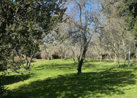 
                                                                                        Vente
                                                                                         Jolie maison 6 pièces avec piscine