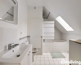 Location
Koliving