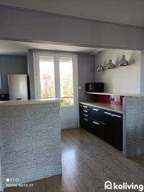 Location
Koliving