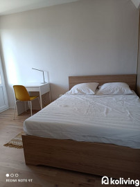 Location
Koliving