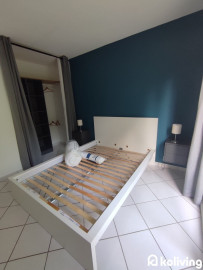 Location
Koliving
