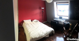 Location
Koliving