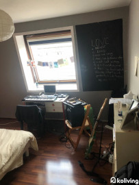 Location
Koliving