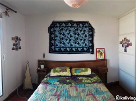 Location
Koliving