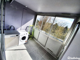Location
Koliving