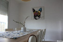 Location
Koliving