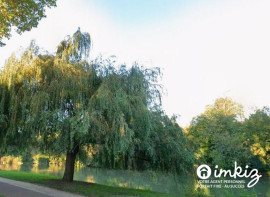 
                                                                                        Vente
                                                                                         La Varenne-St-Hilaire- 74m2 traversant séjour 30m2