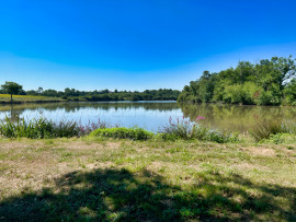
                                                                                        Vente
                                                                                         LANDES DOMAINE 57 ha ETANGS 20 ha
