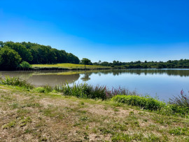 
                                                                                        Vente
                                                                                         LANDES DOMAINE 57 ha ETANGS 20 ha