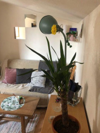 
                                                                                        Location
                                                                                         Location Bordeaux centre studio avec chambre