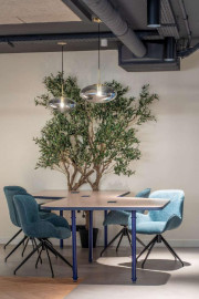 
                                                                                        Location
                                                                                         Location Bureaux Paris 75006