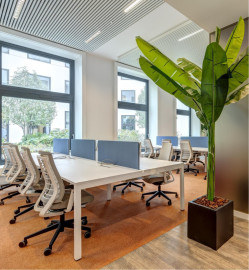 
                                                                                        Location
                                                                                         Location Bureaux Paris 75008