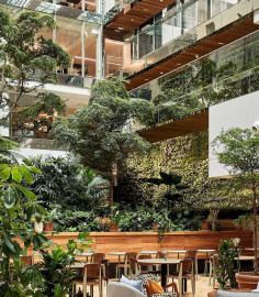 
                                                                                        Location
                                                                                         Location Bureaux Paris 75009