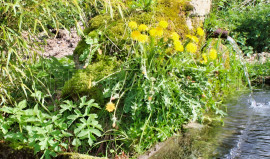 Vente
LOIRE HAUT FOREZ MAISON DE CAMPAGNE 2 HA
