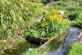 Vente
LOIRE HAUT FOREZ MAISON DE CAMPAGNE 2 HA
