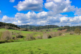 Vente
LOIRE HAUT FOREZ MAISON DE CAMPAGNE 2 HA