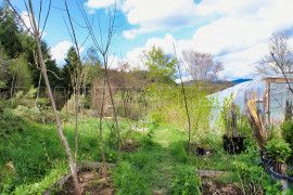 Vente
LOIRE HAUT FOREZ MAISON DE CAMPAGNE 2 HA