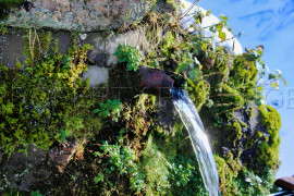 Vente
LOIRE HAUT FOREZ MAISON DE CAMPAGNE 2 HA