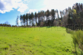 Vente
LOIRE HAUT FOREZ MAISON DE CAMPAGNE 2 HA
