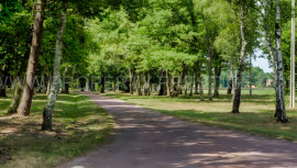 Vente
LOIRET 400 HA PROPRIETE RURALE PLEINE NATURE
