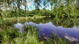Vente
LOIRET 400 HA PROPRIETE RURALE PLEINE NATURE