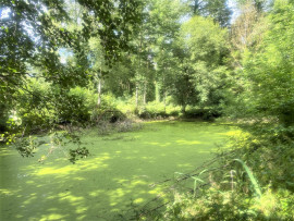 
                                                                                        Vente
                                                                                         Loisirs, pêche, détente, bord de Somme