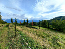 
                                                                                        Vente
                                                                                         Maison 11 pièces 260 m² sur 6 hectares