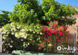 
                                                                                        Vente
                                                                                         Maison 5 pièces récente avec piscine