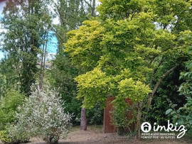 
                                                                                        Vente
                                                                                         Maison 6 pièces