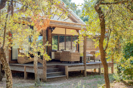 
                                                                                        Vente
                                                                                         MAISON AVEC GITES - PISCINE - DEPENDANCES