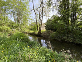
                                                                                        Vente
                                                                                         Maison de caractère avec gîte et île privée (p
