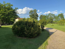 
                                                                                        Vente
                                                                                         Maison de plain-pied rénovée terrain de 2 862 m2