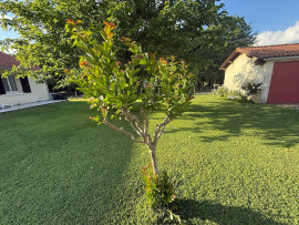 
                                                                                        Vente
                                                                                         Maison de plain-pied rénovée terrain de 2 862 m2