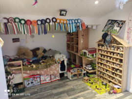 Vente
MAISON D'HABITATION AVEC 7HA DE TERRAINS