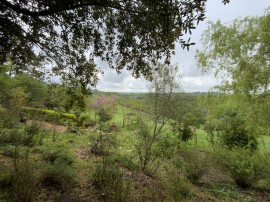 Vente
Maison en pierre naturelle avec chambres d'hôtes,