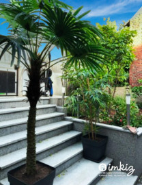 
                                                                                        Vente
                                                                                         Maison familiale avec terrasse - St Denis