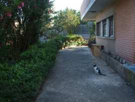 
                                                                                        Vente
                                                                                         Maison in Portugal