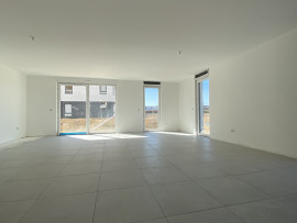 Vente
Maison Moderne rue de la Musau à Oberschaeffolsheim