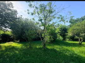 
                                                                                        Vente
                                                                                         Maison plain pied 3 chambres avec grange attenante, terrain de 1150m2