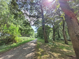 
                                                                                        Vente
                                                                                         Maison sur terrain à Commensacq