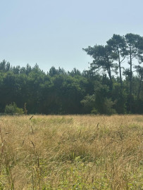 
                                                                                        Vente
                                                                                         Maison sur terrain à GASTES