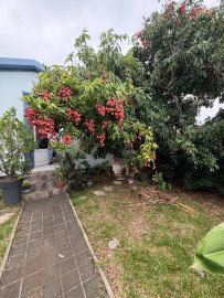 
                                                                                        Location
                                                                                         Maison T2 meublée de 42,62 m² – , Sainte-Marie